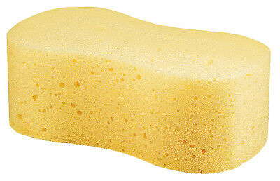 Yellow Sponge - Big