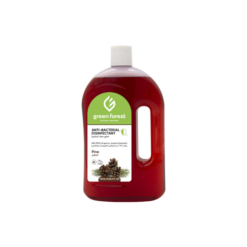 Dettol 750 ml Green forest 1 * 18 Bottle